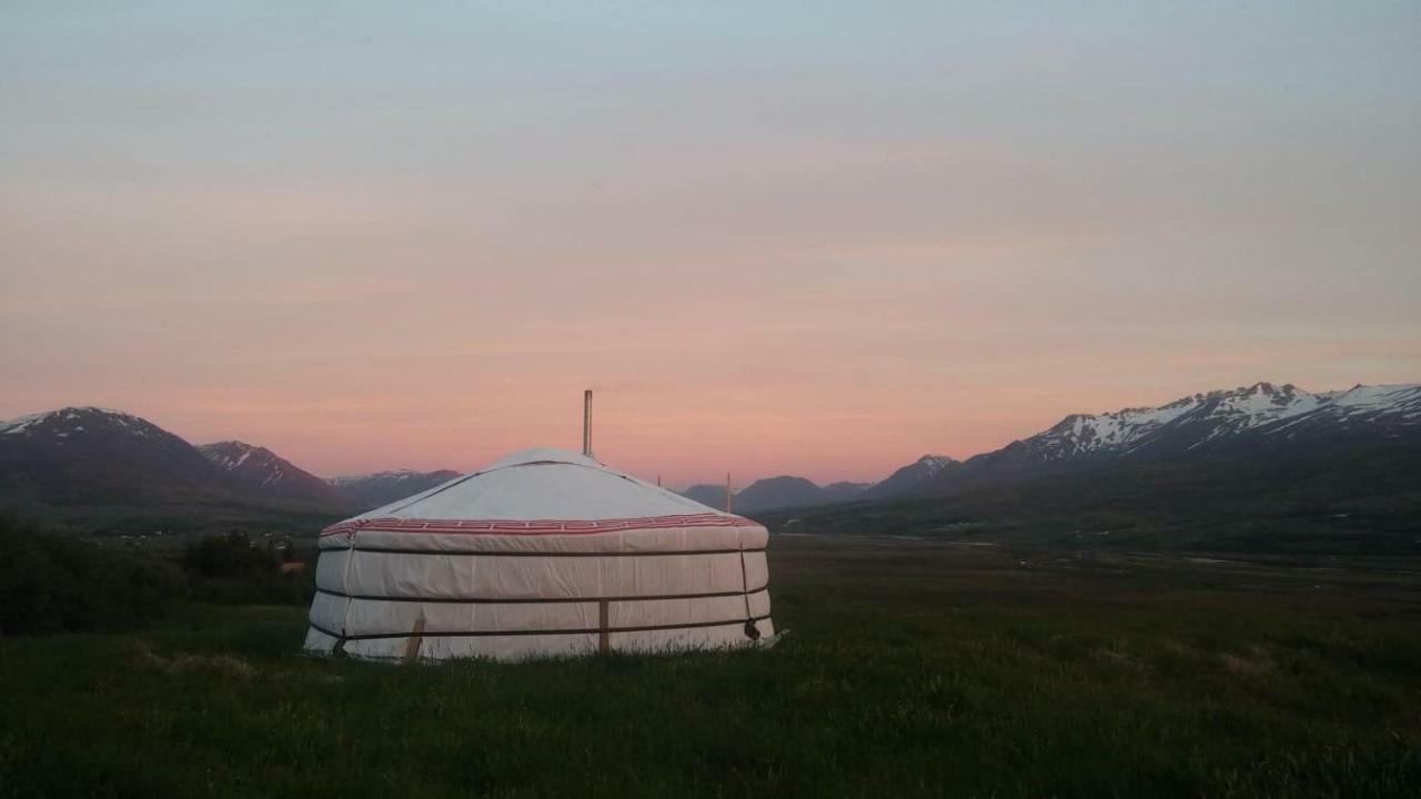 Iceland Yurt Akureyri Kültér fotó